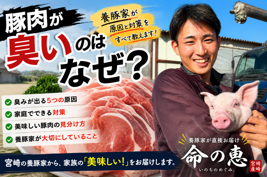 豚肉が臭いのはなぜ？養豚家が教える「臭み」の原因と美味しい豚肉の選び方