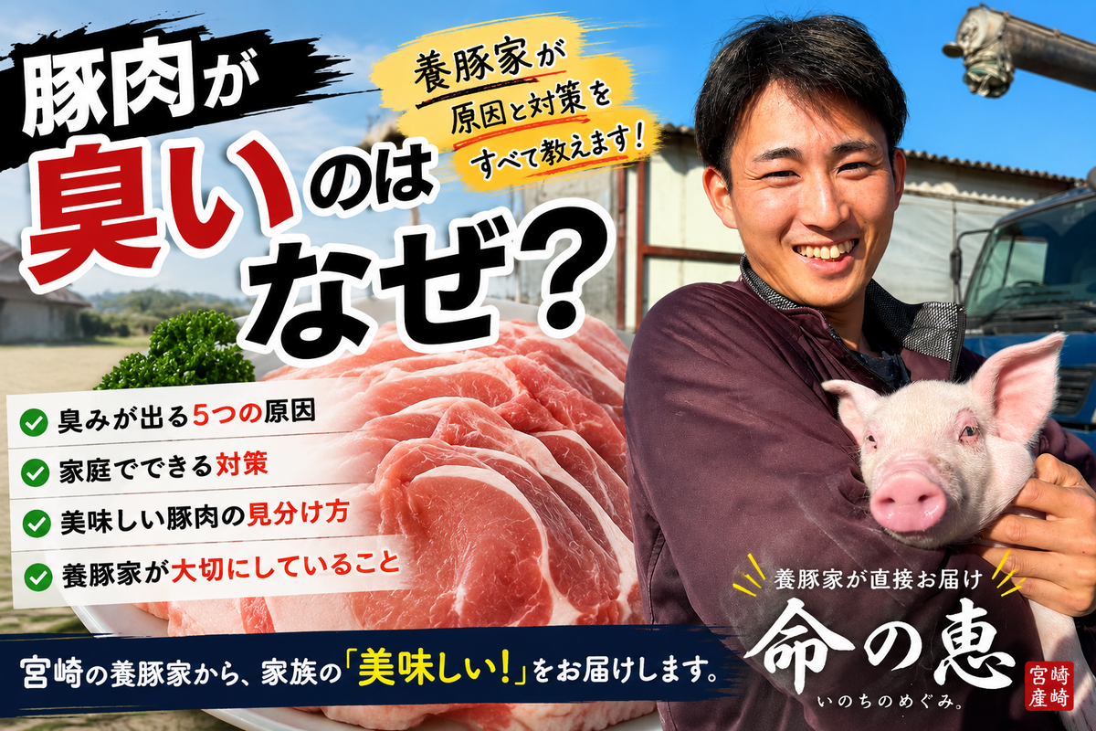 豚肉が臭いのはなぜ？養豚家が教える「臭み」の原因と美味しい豚肉の選び方